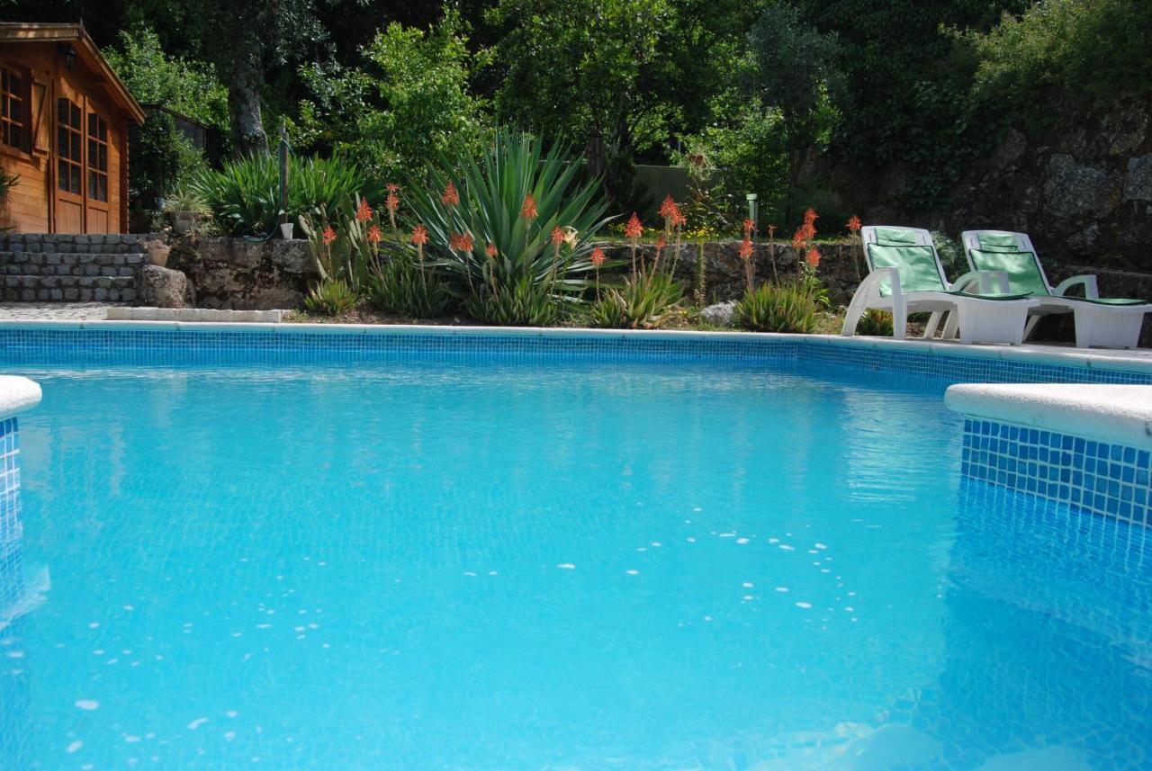 Quinta Das Murteiras Apart otel Póvoa de Midões Dış mekan fotoğraf